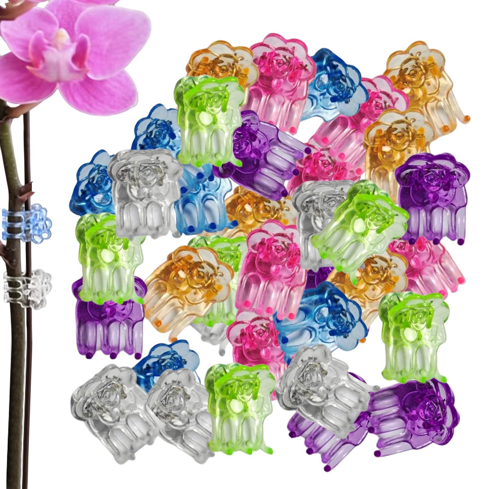 Orchid Clips 60 Pieces Butterf - Terracotta Pot 评论和价格
