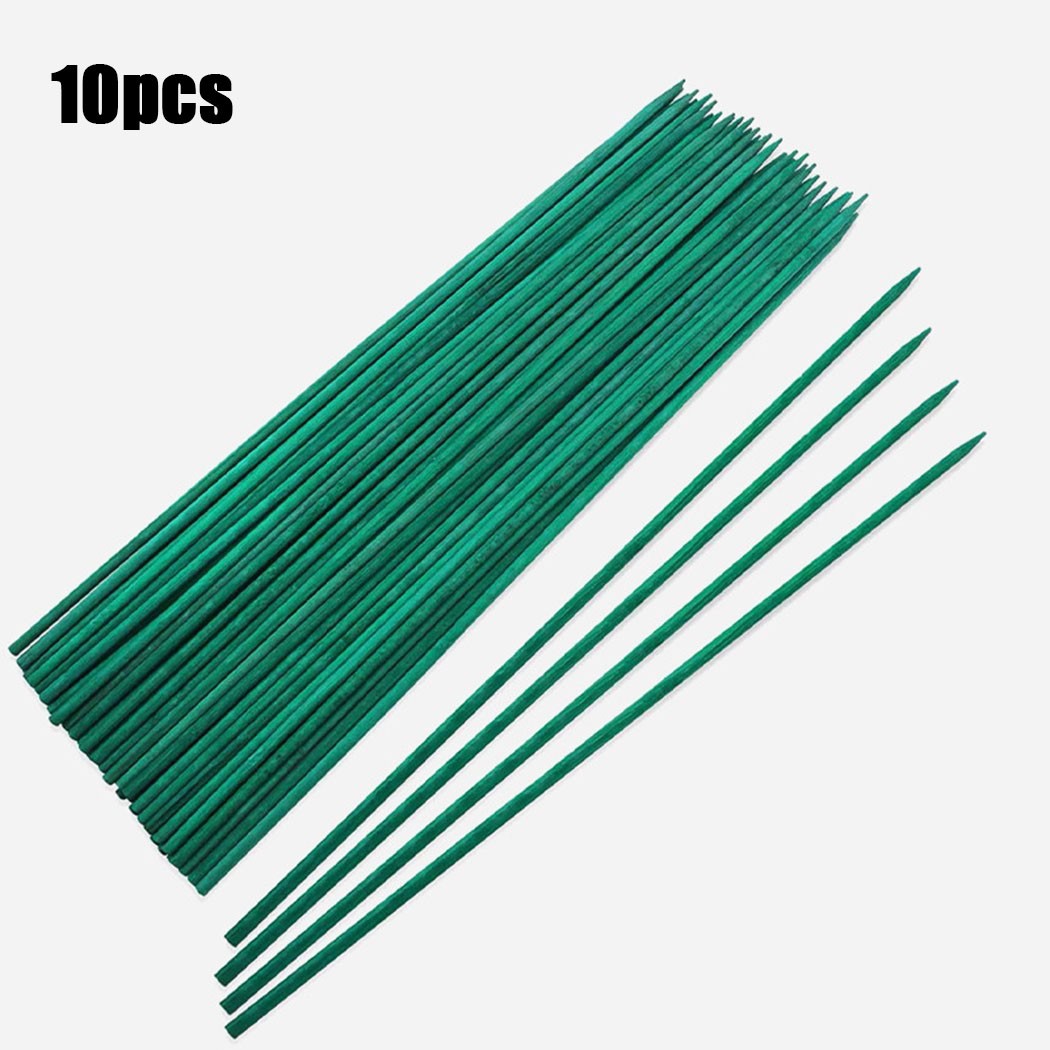 10pcs 40cm Green Plant Support - Plant Support Stake 评论和价格