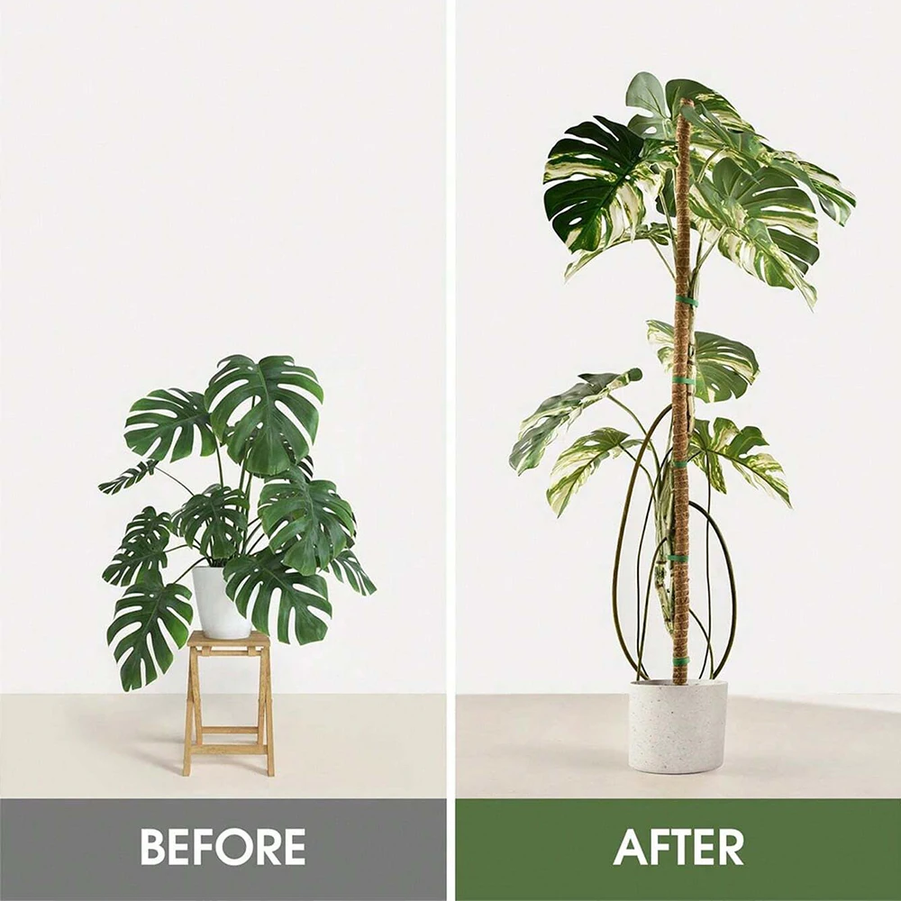 Monstera Plant Moss Pole Suppo - Plant Support Stake 评论和价格