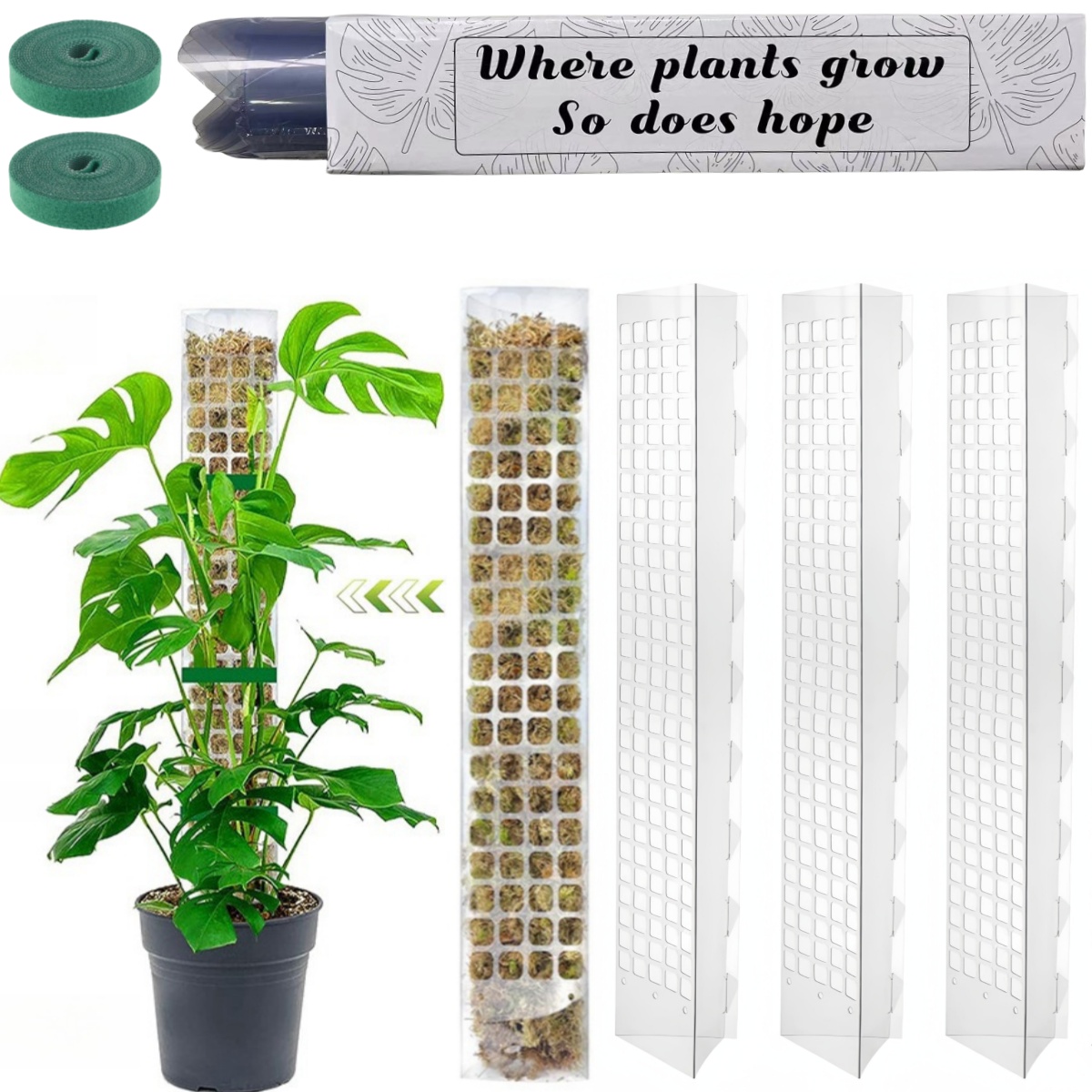 Moss Pole Plastic Plant Stand  - Plant Support Stake 评论和价格