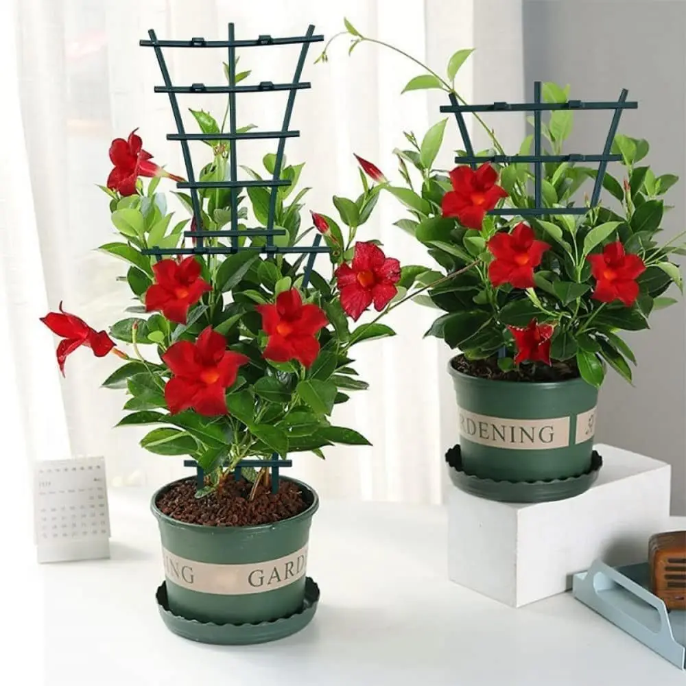 2/8pcs Plant Support Frame Pla - Terracotta Pot 评论和价格