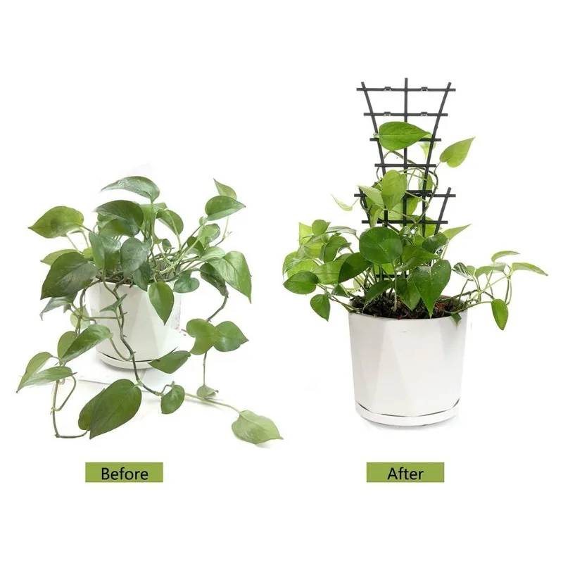 2/8pcs Plant Support Frame Pla - Terracotta Pot 评论和价格