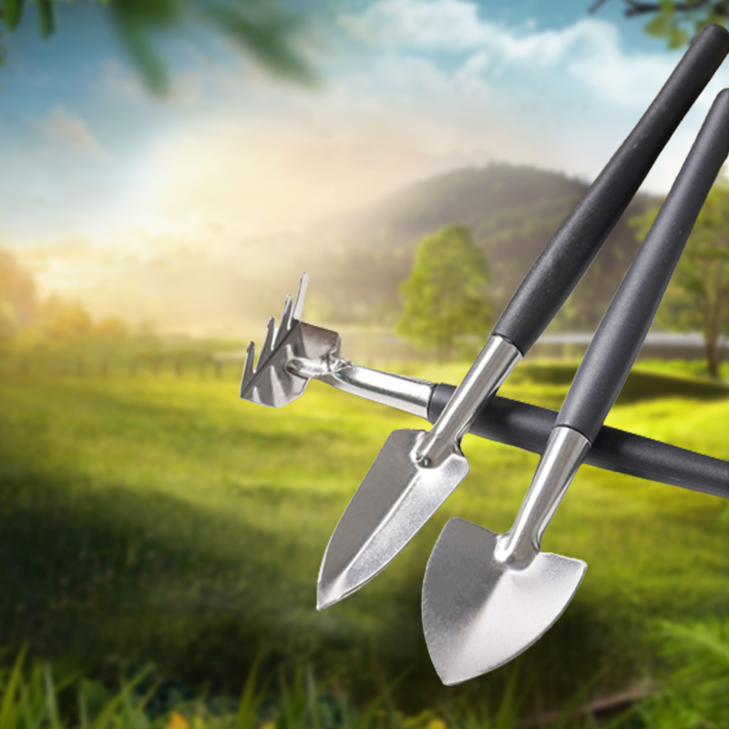 3pcs/set, Garden Tool Set Rake - Succulent Set 评论和价格