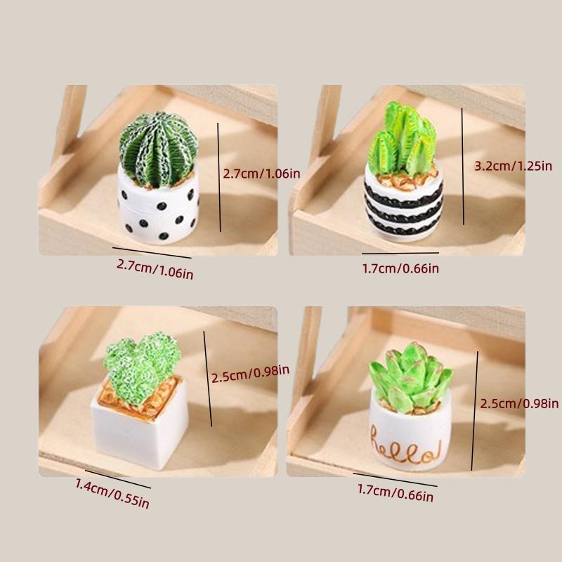 4-Piece Set of Cactus Succulen - Succulent Set 评论和价格