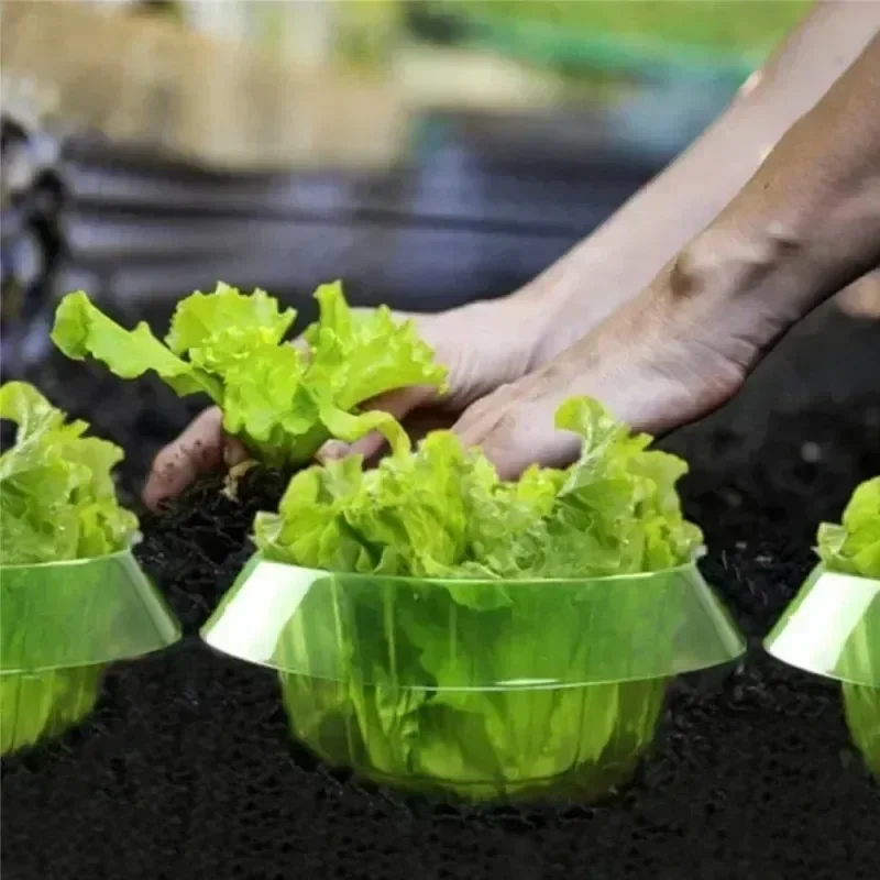 Plants Slug Protection Rings V - Terracotta Pot 评论和价格