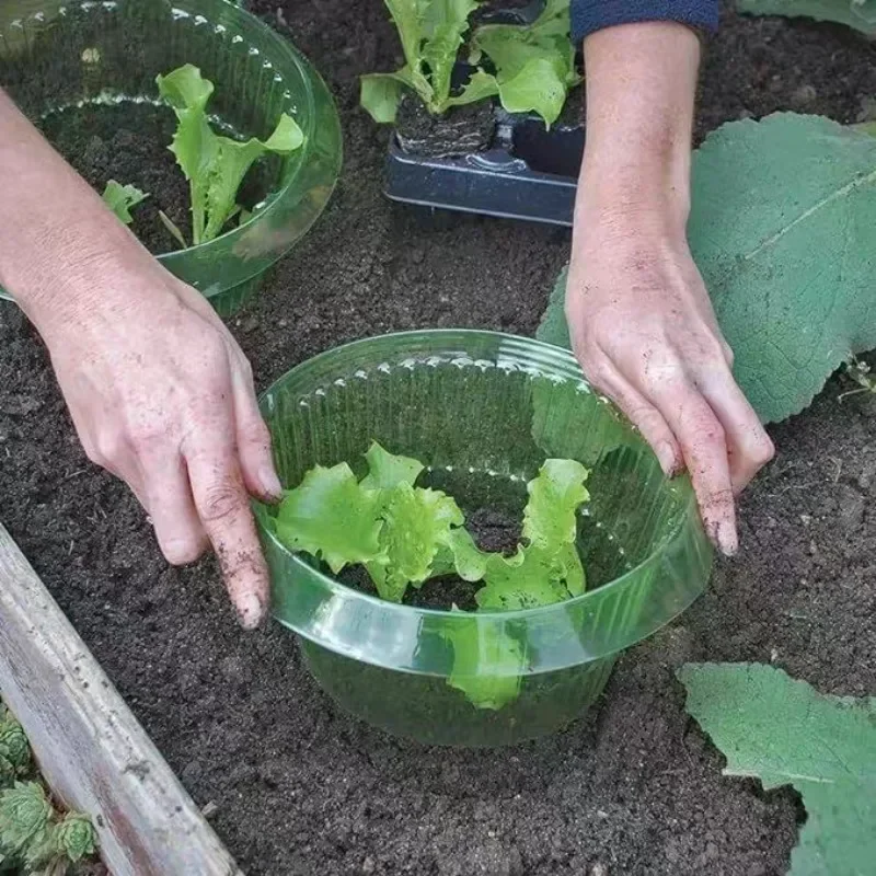Plants Slug Protection Rings V - Terracotta Pot 评论和价格